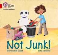 Not Junk! By:Welsh, Clare Helen Eur:56,89 Ден2:499