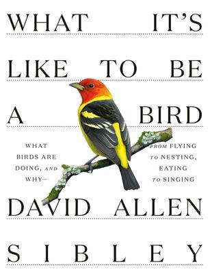 What It's Like to be a Bird By:Sibley, David Allen Eur:32,50  Ден3:1999