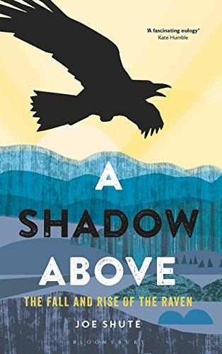 A Shadow Above : The Fall and Rise of the Raven By:Shute, Joe Eur:26 Ден2:1199