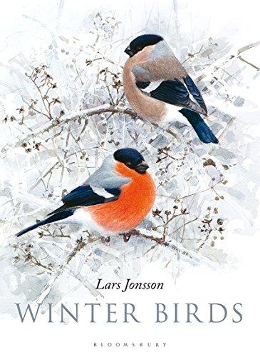 Winter Birds By:Jonsson, Lars Eur:32,50 Ден1:2199