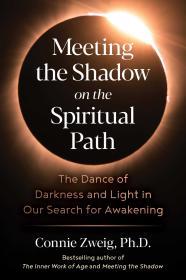 Meeting the Shadow on the Spiritual Path: The Dance of Darkness and Light in Our Search for Awakening By:Zweig, Connie Eur:12,99 Ден1:1299