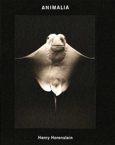 Henry Horenstein Animalia /anglais By:Horenstein, Henry Eur:58,52 Ден2:3799
