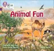 Big Cat Phonics for Little Wandle Letters and Sounds Revised – Animal Fun: Phase 1 By:Guille-Marrett, Emily Eur:8,11 Ден2:399