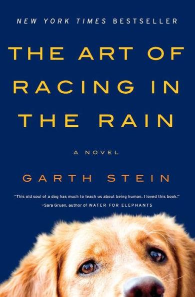 The Art of Racing in the Rain By:Stein, Garth Eur:16,24 Ден2:1199