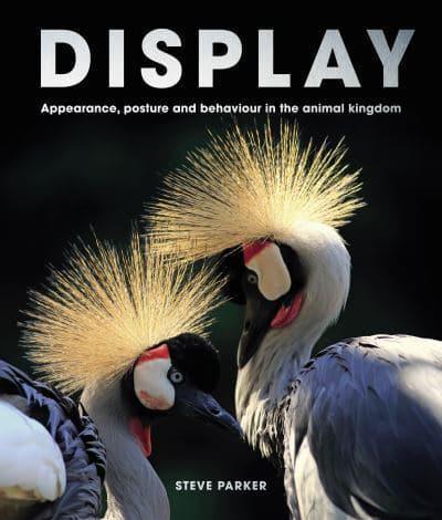 Display By:Parker, Steve Eur:74,78 Ден2:1899