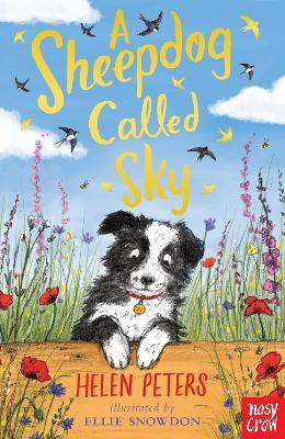 A Sheepdog Called Sky By:Peters, Helen Eur:4,88 Ден2:499