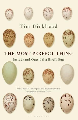 The Most Perfect Thing : Inside (and Outside) a Bird's Egg By:Birkhead, Tim Eur:22,75 Ден1:1399