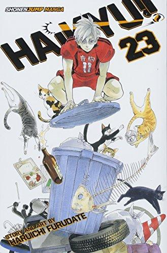 Haikyu!!, Vol. 23 : The Ball's Path By:Furudate, Haruichi Eur:47,14 Ден2:599