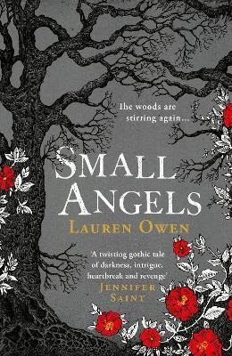 Small Angels : 'A twisting gothic tale of darkness, intrigue, heartbreak and revenge' Jennifer Saint By:Owen, Lauren Eur:22,75 Ден2:1099