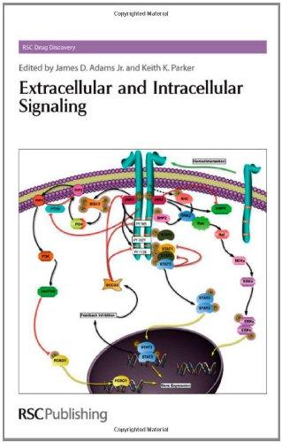 Extracellular and Intracellular Signaling By:Thurston, David E. Eur:34.13 Ден1:10199