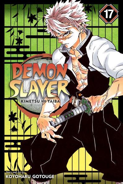 Demon Slayer: Kimetsu no Yaiba, Vol. 17 By:Gotouge, Koyoharu Eur:11,37 Ден2:699