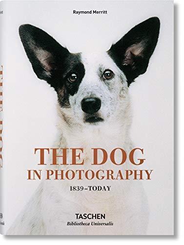 The Dog in Photography 1839-Today By:Merritt, Raymond Eur:26 Ден2:1099